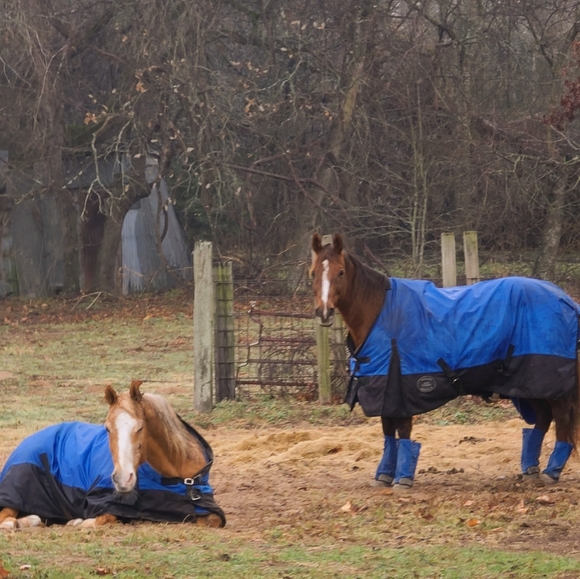 Meet your Posher, Dorothy - Picture 9 of 12